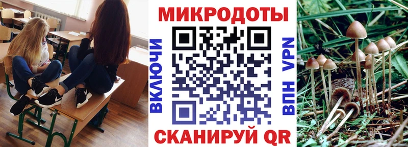 Псилоцибиновые грибы GOLDEN TEACHER Нолинск